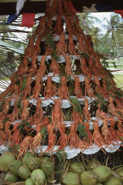 The lobster tree
